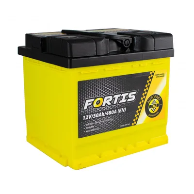 50 Ah/12V FORTIS  (0)  Euro