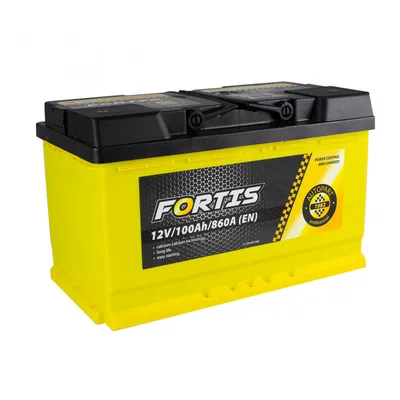 100 Ah/12V FORTIS  (0) Euro_L4 короткий