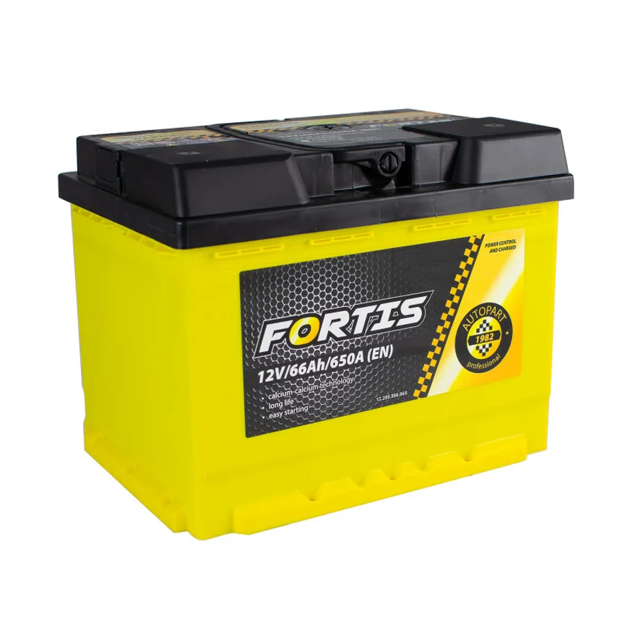 66 Ah/12V FORTIS (0) Euro