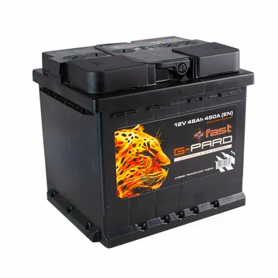 48 Аh/12V Fast G-Pard (1)